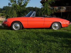 Alfa Romeo Rundheck Spider
